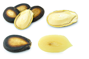 watermelon seed dry isolated on white background