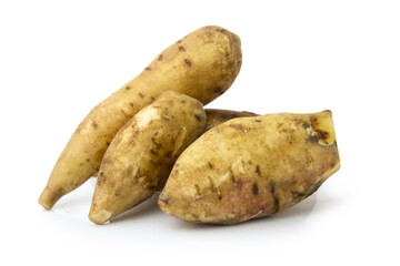 clipping path Smallanthus sonchifolius (yacon) snow lotus isolated on white background