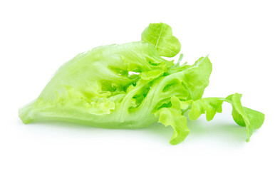 green fresh lettuce isolated on white background