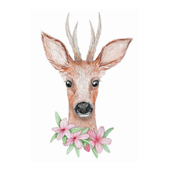Watercolor roe deer vector illustration isolated on white background, with flowers. © Kristina