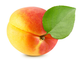 Apricot with apricot leaves isolated