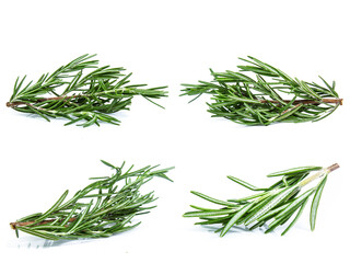 collection mix set Rosemary isolated on white background