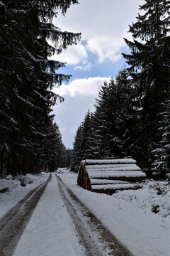 Wirtschaftsweg mit Holz