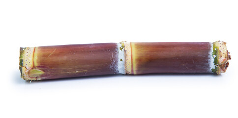 sugarcane isolated on white background clipping path