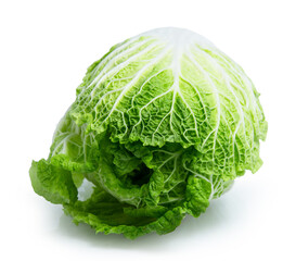 Fototapeta premium vegetable chinese cabbage isolated on white background