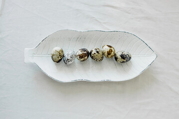 small spotted quail eggs on eco-friendly white leaf-shaped plate made from recycled materials. top...