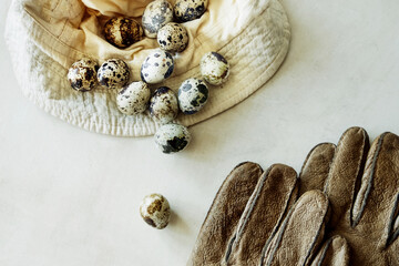 small spotted quail eggs collected on home farm. farmers hat and gloves for collecting eggs and...