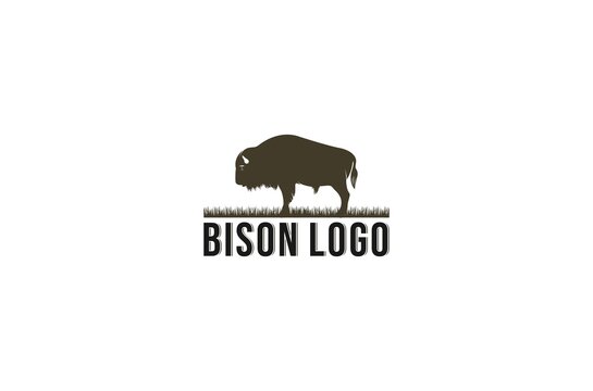 bison logo with bison illustration and using white background