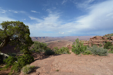 Scenic view of the landscape, with shrubs and trees near the rim of Canyonlands National Park in Utah