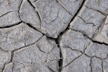 Obraz premium Background of cracks in the soil drought ecology. Dry cracked ground texture. Desert background. Global water scarcity. Deep cracks in the ground as a symbol of hot climate and drought