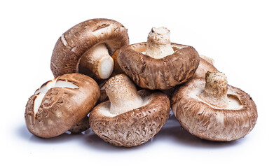 clipping path Shiitake mushrooms isolated on white background