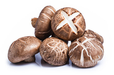 clipping path Shiitake mushrooms isolated on white background