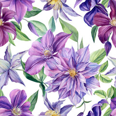 Watercolor violet flowers on isolated background, botanical painting. Seamless pattern Clematis 