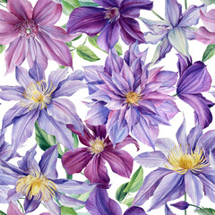 Seamless pattern. Watercolor purple flowers on isolated background, botanical painting. Floral design Clematis 