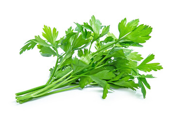 green parsley vegetable isolated on white background