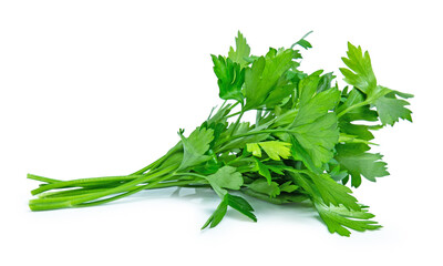 green parsley vegetable isolated on white background