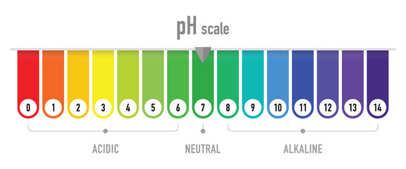 pH value scale chart for acid and alkaline solutions, acid-base balance infographic	 - obrazy, fototapety, plakaty