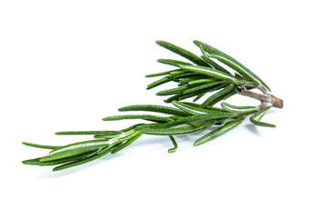 Fototapeta premium rosemary isolated on white background (Mix, set , collection)