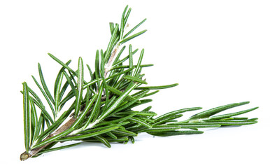Fototapeta premium rosemary isolated on white background (Mix, set , collection)