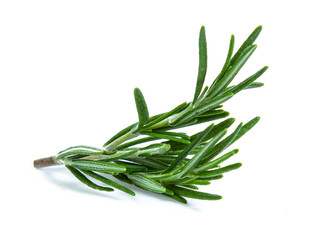Fototapeta premium rosemary isolated on white background (Mix, set , collection)