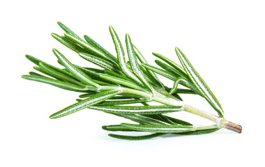 Fototapeta premium rosemary isolated on white background (Mix, set , collection)