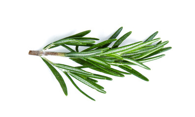 Fototapeta premium rosemary isolated on white background (Mix, set , collection)