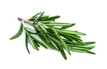 rosemary isolated on white background (Mix, set , collection)