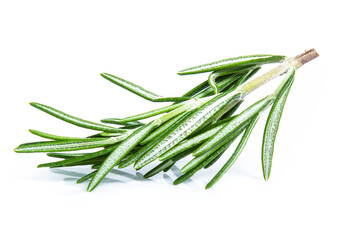 Fototapeta premium rosemary isolated on white background (Mix, set , collection)