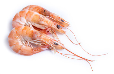 clipping path shrimp isolated on white background