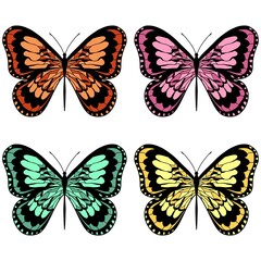 Beautiful butterflies. Pastel colors. Set of isolated flat cartoon vector illustrations.