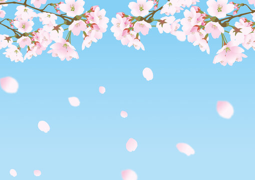 30 331 Best パステルカラー Images Stock Photos Vectors Adobe Stock 30 331 Best パステルカラー Images Stock Photos Vectors Adobe Stock