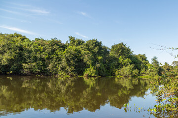 Fototapeta na wymiar Landscape on the Rio Claro, taken from the river, in the Pantanal in Mato Grosso, Brazil
