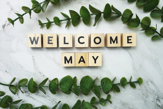 Welcome May alphabet letter with green leave flat lay on marble background