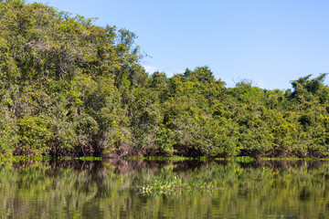 Fototapeta na wymiar The beautiful Rio Claro in the northern Pantanal in Mato Grosso, Brazil