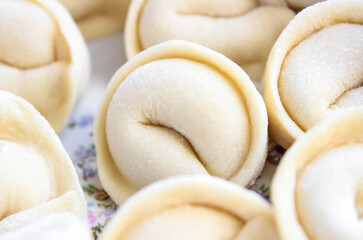 Raw homemade Russian dumplings with meat close-up. Traditional cuisine.