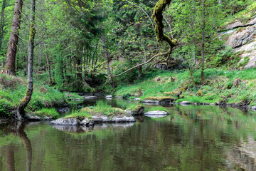 Fototapeta na wymiar schöner Idyllischer Flusslauf, Waldnaabtal, Blockhütte