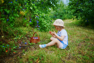 Adorable toddler girl in straw hat picking fresh organic plums on farm