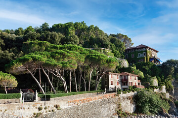 Fototapeta na wymiar Lush greenery on the streets of Sestri Levante.Liguria, Italy