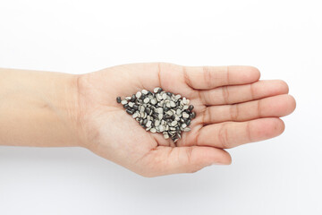 Macro Close up of Organic split black urad dal (Vigna mungo) with the shell on the palm of a Female hand. Top view