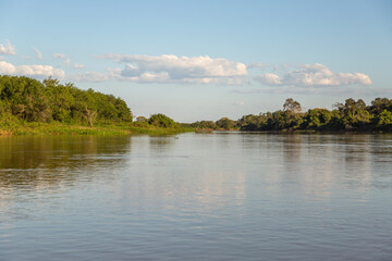 Fototapeta na wymiar Landscape in the brazilian Pantanal along the Rio Sao Lourenco close to Porto Jofre in Mato Grosso, Brazil