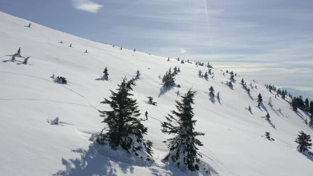 Aerial shot around pines and three persons climbing mountain on splitboard.