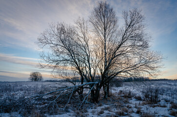 winter, tree, snow, landscape, sky, trees, cold, nature, frost, ice, white, blue, season, sun, sunset, field, sunrise, morning, forest, river, clouds, snowy, cloud, fog, frozen