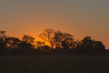 Sunset along the Transpantaneira in the Pantanal in Mato Grosso, Brazil