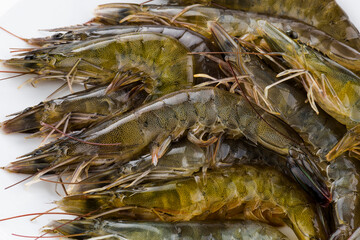 Close-up of raw shrimp in a white dish