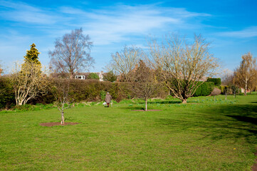 Lone person walking a dog in a park