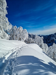 Mountain path covered in snow