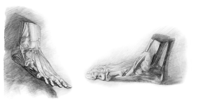 Anatomical drawing of a person's feet. Different camera angles. academic pencil drawing. An old drawing.