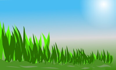 Landscape illustration, grass green and blue sky with sunlight. Vector
