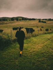 A girl with yellow gumboots walking near cows