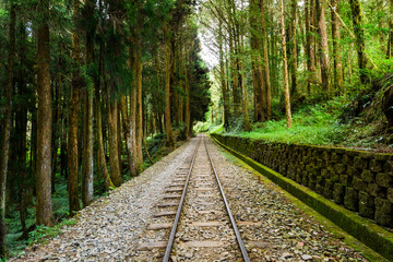 Obraz premium The Forest Railway passes through the Alishan Forest Recreation Area in Chiayi, Taiwan.